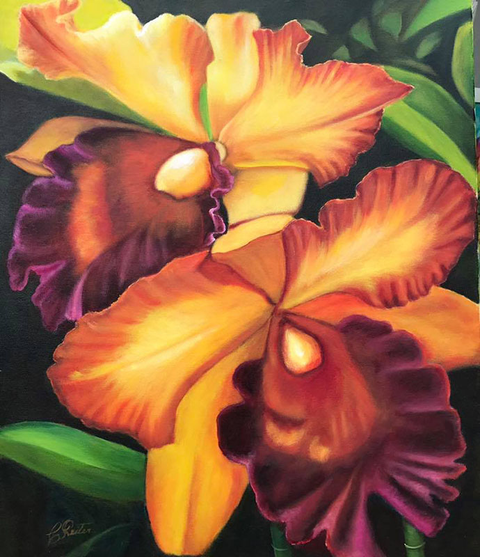 Orqudeas - 60 x 50 cm - OST